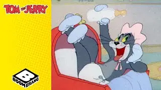Tom the Baby Cat  | Tom and Jerry | 