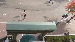 Эверленд американские горки