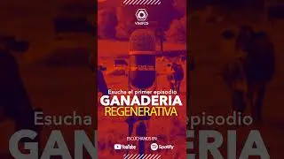 🎙️ CAFÉ PECUARIO VIMIFOS ☕ ¡Nuestro podcast está de vuelta!