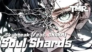 Skybreak - Soul Shards (feat. DNAKM)