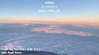 Chuyến bay thao thức（失眠飞行) Halee Royal Remix | Video Lyrics