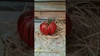 Тыква из бумажной лозы