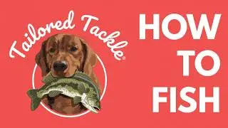 1. How to Catch a Fish Today BEGINNER