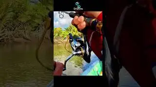 Umpan diseret Ikan langsung Lengket #simancing #fishing #mancingmania