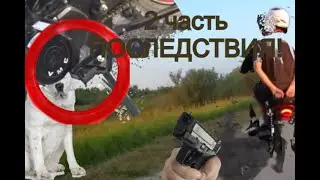 ЧЕМ  ЗАКОНЧИЛАСЬ ПОЕЗДКА НА ЦЫГАНСКОМ ПОЛЕ | 2 ЧАСТЬ