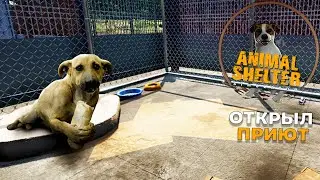 Animal Shelte  - Я ОТКРЫЛ ПРИЮТ ДЛЯ ЖИВОТНЫХ