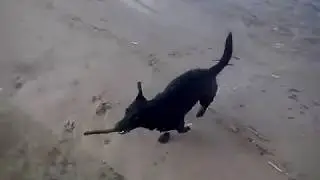 нам море по колено