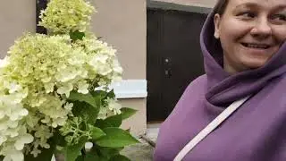 МАРИНУЮ ОПЯТА/КУПИЛА ЧТО ХОТЕЛА/СОБРАЛА УРОЖАЙ.