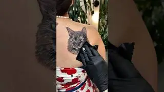 Cat Tat 🐱 #cattattoo #shorts #shortsvideo #tattoowipes #tattoovideo #realistic