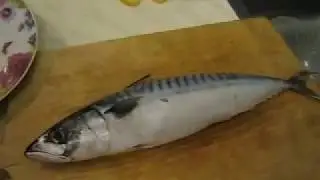 Маринованная скумбрия(селедка) по домашнему! рецепт!