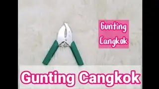 Unboxing Beli Gunting Cangkok Pohon || Gunting Cangkok Tanaman