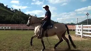 Dia de Campo - Haras da Montanha, Capítulo 3