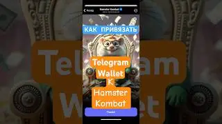 Как вывести из Hamster Kombat на Telegram Wallet за 40 секунд простая инструкция 