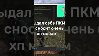 БАГ НА ОРУЖИЕ АМАЗИНГ РП 