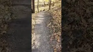 Fort Defiance nature trail