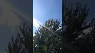 17 июня 2024 г.