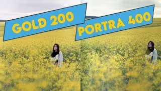 Comparando Kodak Gold 200 com Portra 400