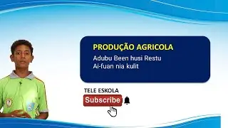 Episódio 470, Produção Agrícola, Matéria Geral & PAP, aula 4, Adubu Been husi Restu Ai fuan nia kul