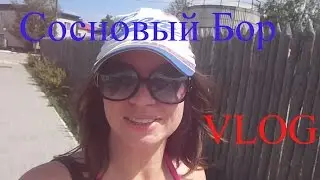 ВЛОГ Сосновый Бор Костанай , кормлю чаек Корпуса, территория