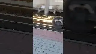 🚆 поездюк