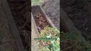 Что такое теплые грядки? 