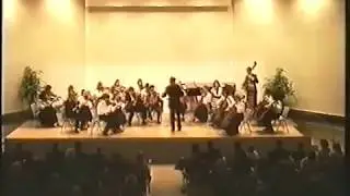 Камерный оркестр, Германия, 1993