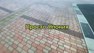 Чистота, красота, фэн-шуй