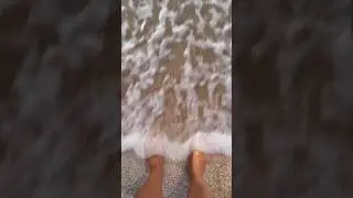 🤔 Daydreaming of the beach 🏝️