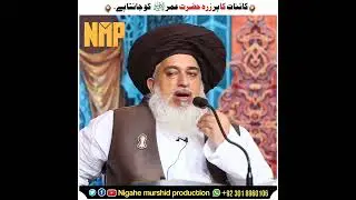 Allama Khadim Hussain Rizvi #bayan #tlp #short #status #علامہ #imamkhadimhussainrizvi #video