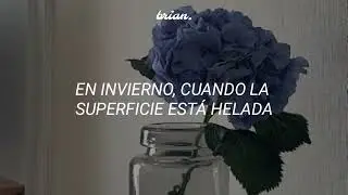 Allie X - Cape God Theme [Letra en Español]