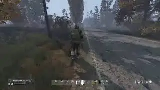 DayZ