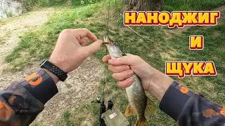 Наноджиг и щука.