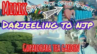 Darjeeling to Njp sightseeing || mirik tour || মিরিক ভ্রমণ || gopaldhara tea garden