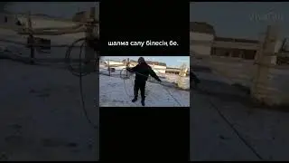 Шалма салу 