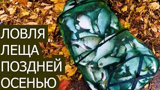 Ловля леща И КАРПА на реке ДНЕСТР ! Как наловить леща на реке.ЛЕЩ ОСЕНЬЮ. Поклёвка ЛЕЩА !!