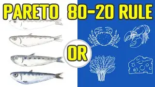 Pareto Principle - The 80-20 Rule - In-Depth Discussion