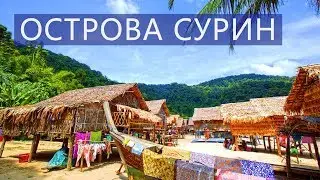 Экскурсия на острова Сурин Пхукет Као Лак Цены  Отзывы | Авитип