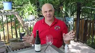 Saint Cosme Cote du Rhone Rouge 2019, Wild Wine Tasting Notes, Wild Wine Life