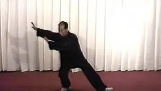 16. Мультимедийный учебник по Тайцзи-цюань стиля ЯН. Портал VIPv.RU
