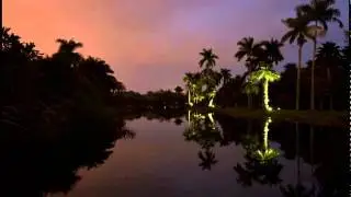 Photo Tips: Photographing at Night