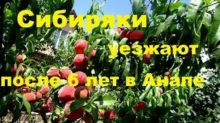 Дом на Юге,  20 км от моря, 103 кв м,   5,5млн руб