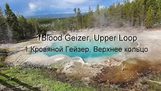 1Blood Geyser , Upper Loop/Yellowstone National Park Blood Geyser/ Кровавый Гейзер, верхний круг.
