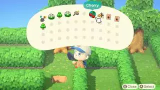 Animal Crossing May Day