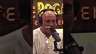 Joe Rogan on depression .