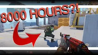 IS THIS WHAT 8000 HOURS LOOKS LIKE IN CS2??