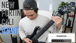 NEW Neural DSP Fortin Cali Amp Sim Djent Test on 7 String
