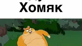 Надутый хомяк