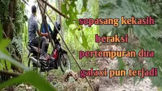 di pohon jati