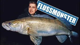 MONSTER ZANDER from the shore!