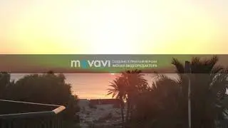 Чудо природы